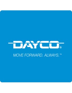 CORREA TIPO V DONGIL 17250 2