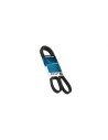 DAYCO CORREA TIPO V 22720