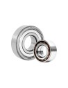 DAYCO CORREA TIPO V 15225