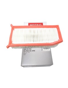 FILT AIR MOTRIO   DU 8660003761