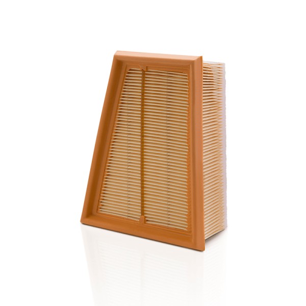 FILTRO AIRE MOTR FL 8660003096