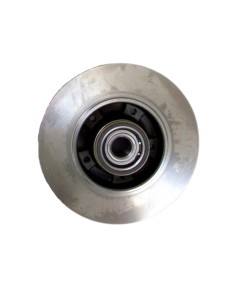 DISCO FR.T MOT FL-MG 8660001615