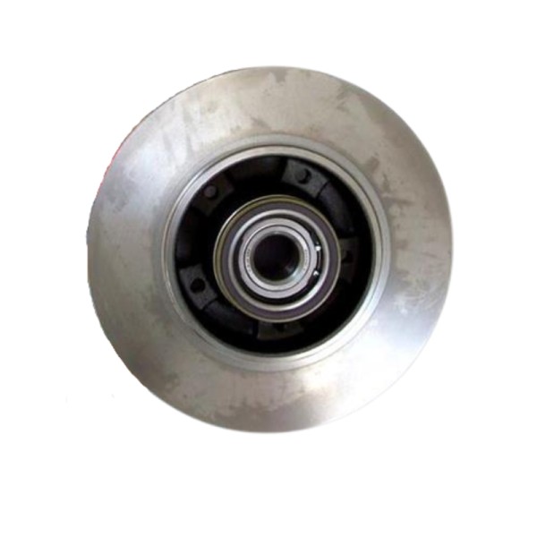 DISCO FR.T MOT FL-MG 8660001615