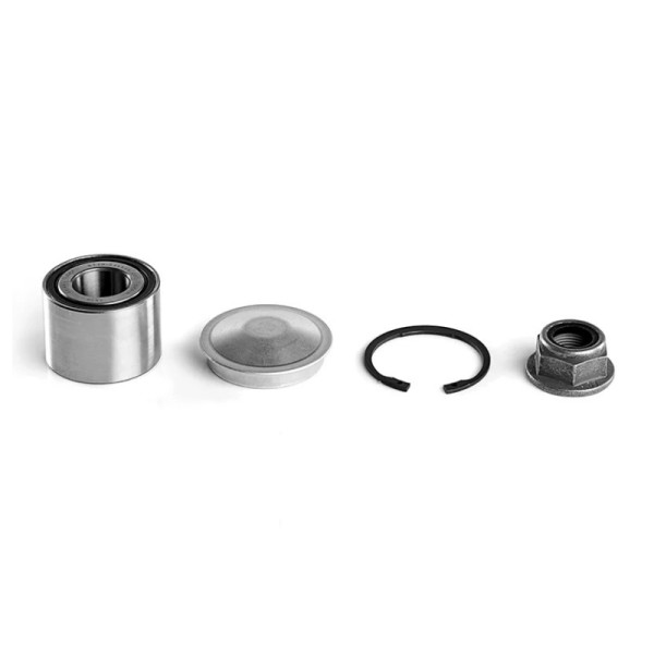 KIT RODAM TR MOTR TT 8660001817